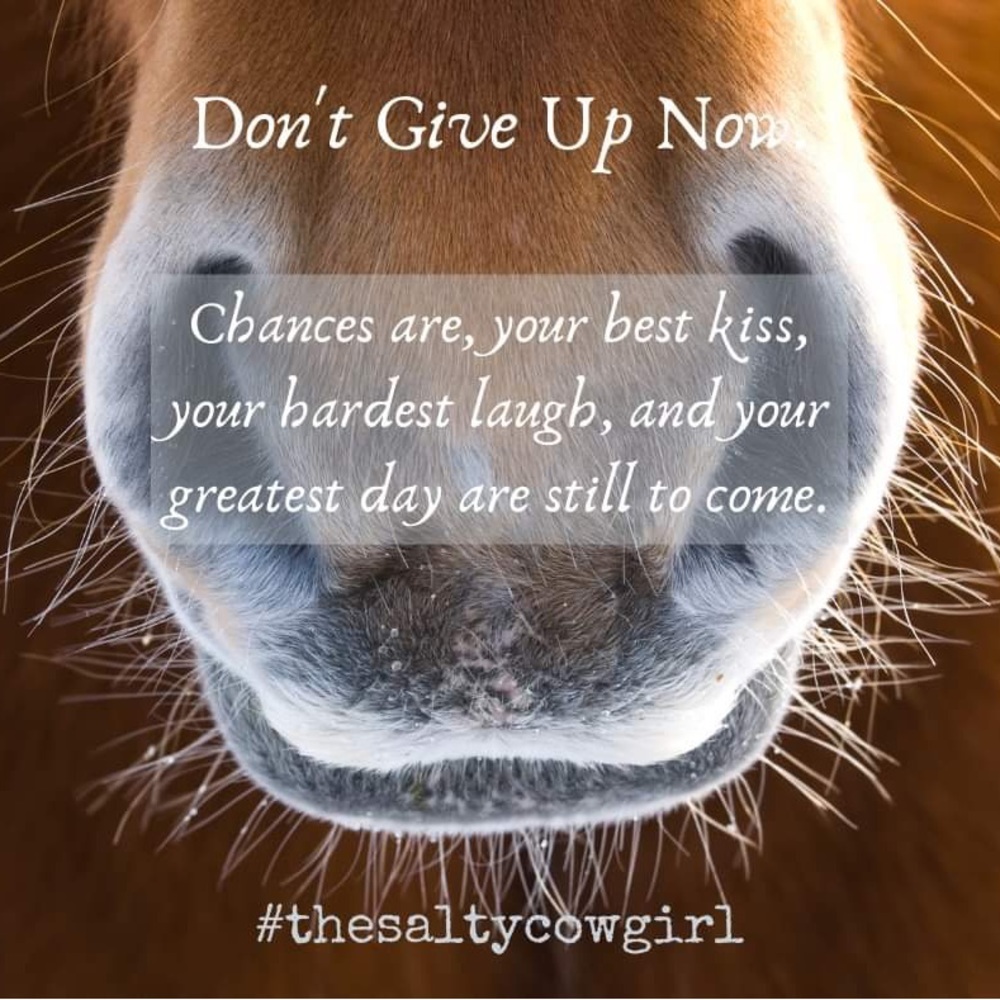 A little COWGIRL MOTIVATION - Picture 16 of 16